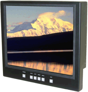 3017 17" LCD Monitor