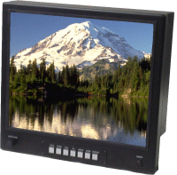 3019 19" LCD Monitor