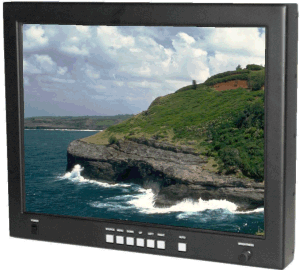 3123 23" LCD Monitor